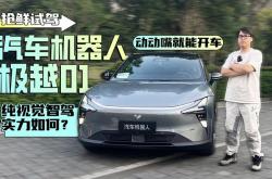 极越“纯视觉”方案跑通城区智驾 占用网络技术国内首曝光