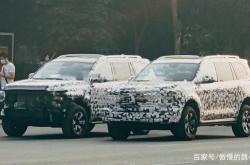 坦克800路试谍照曝光：定位全尺寸SUV