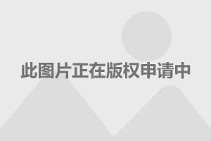 调查：中国电动汽车品牌在美国知名度对美国车企形成威胁